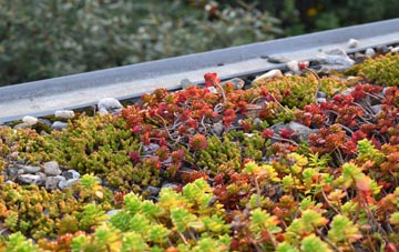 the cost of Bank Hey green roof installation