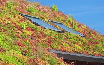 Bank Hey living roof systems