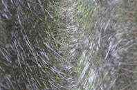 Bank Hey fibreglass roof work